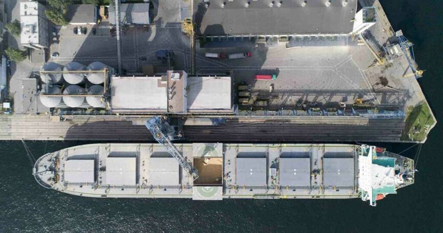 Port Gdynia przeładował już o blisko 200 tys. ton zbóż więcej niż rok wcześniej